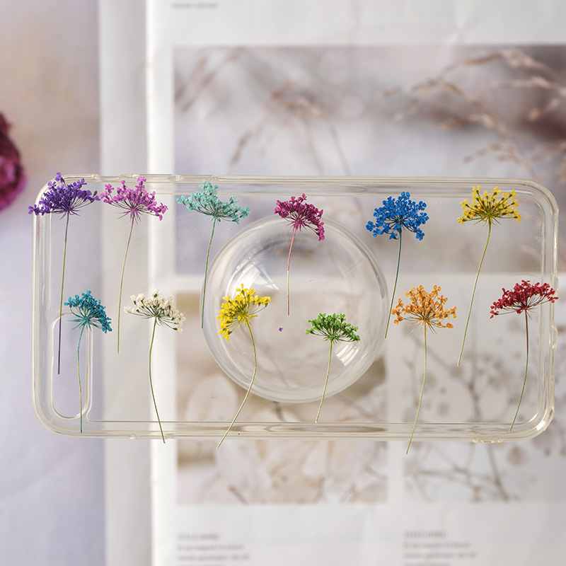 Dried Flower Bookmark - 48Pcs Vibrant Colored Small Snowdrop Flowers