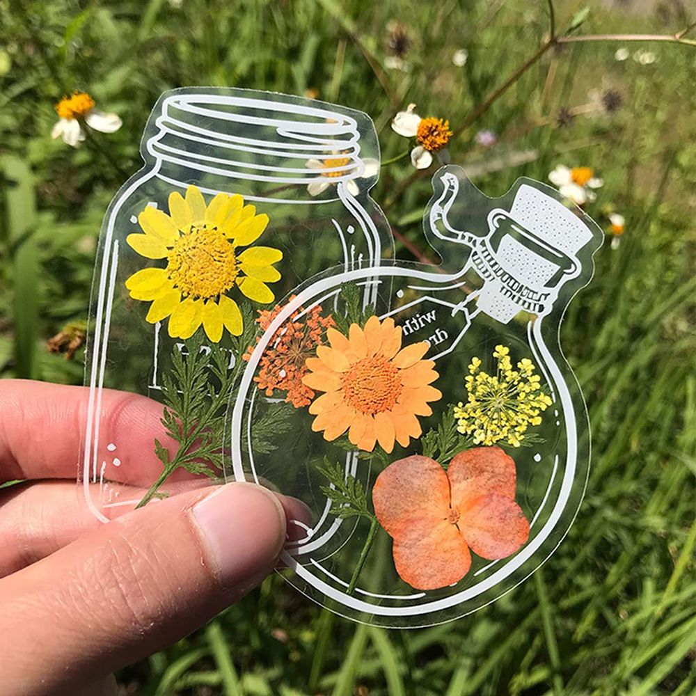 30Pcs DIY Transparent Dried Fl - Dried Flower Bookmark のレビューと価格