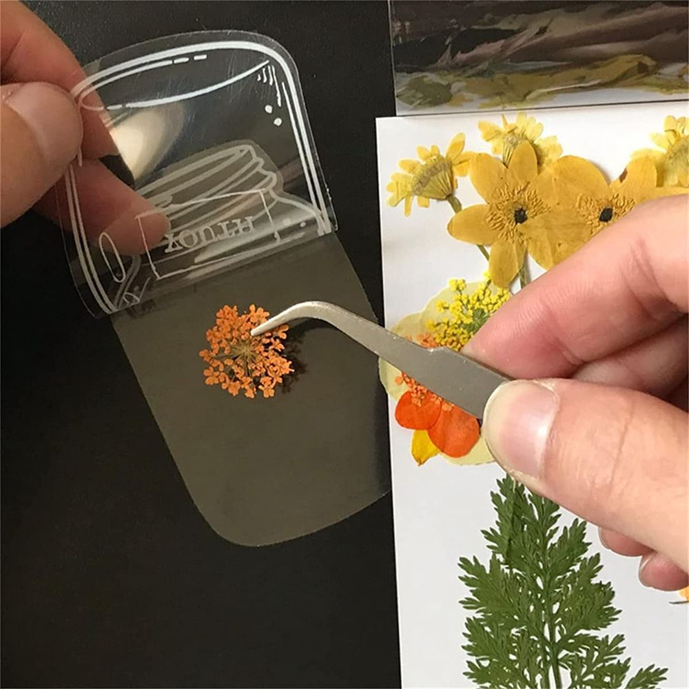 30Pcs Handmade DIY Transparent - Dried Flower Bookmark のレビューと価格
