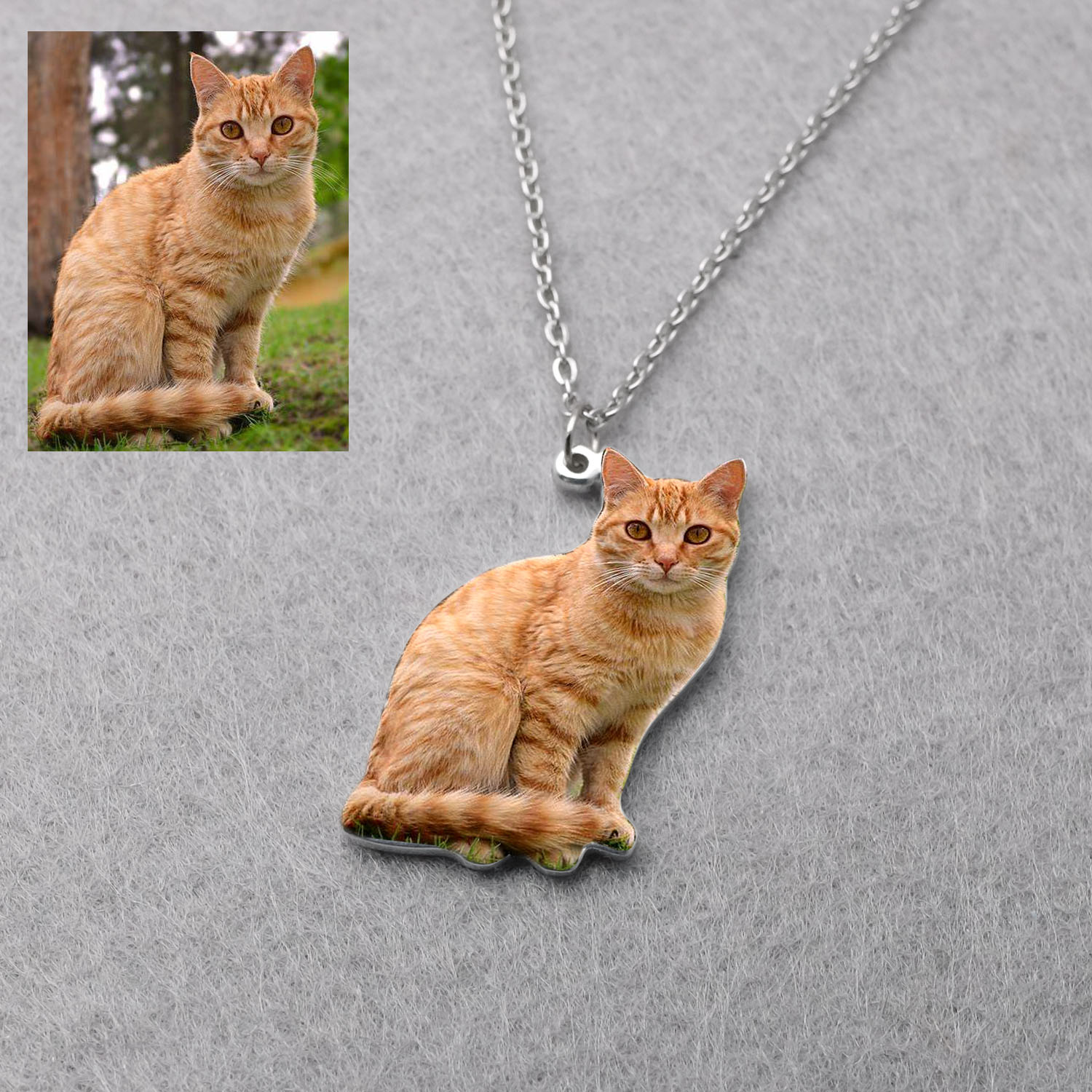 Personalized Pet Picture Neckl - Pet Portrait Custom のレビューと価格