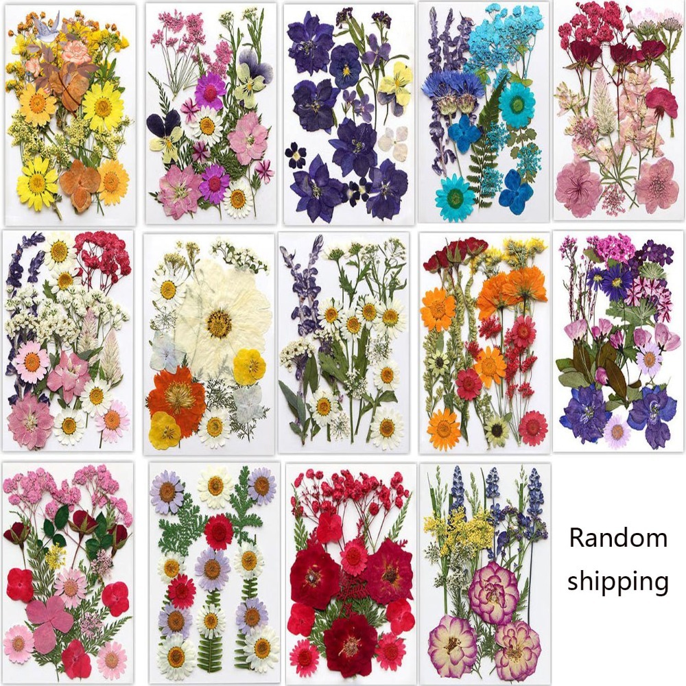Handmade Pressed Dried Flowers - Dried Flower Bookmark のレビューと価格
