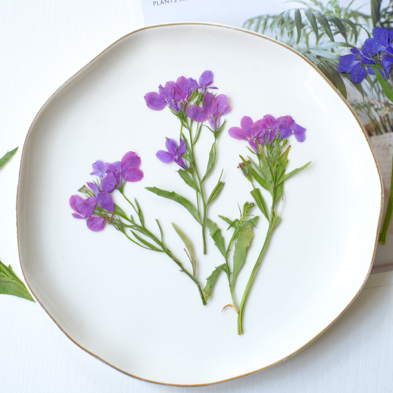 6pcs/8-13cm,nature Lobelia Eri - Dried Flower Bookmark のレビューと価格