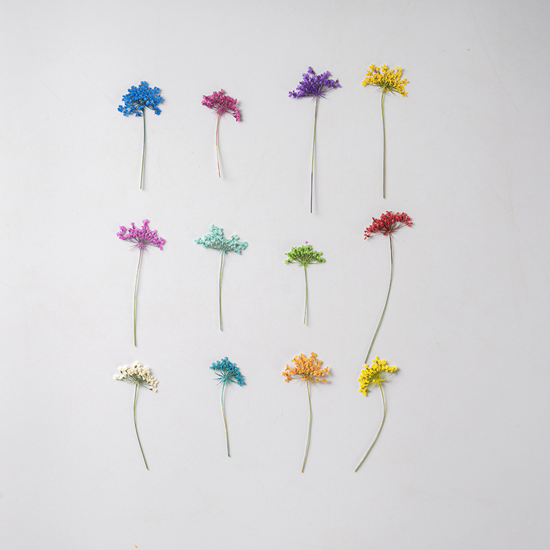 48Pcs Vibrant Colored Small Sn - Dried Flower Bookmark のレビューと価格