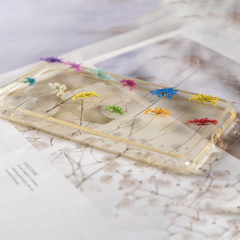 48Pcs Vibrant Colored Small Sn - Dried Flower Bookmark のレビューと価格