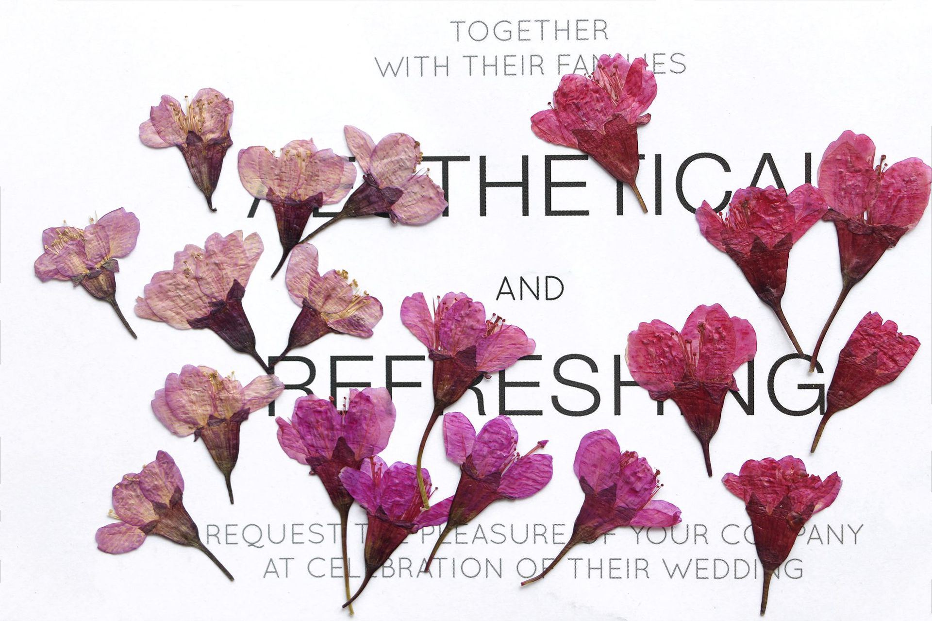 36Pcs Natural Dried Flower Pre - Dried Flower Bookmark のレビューと価格