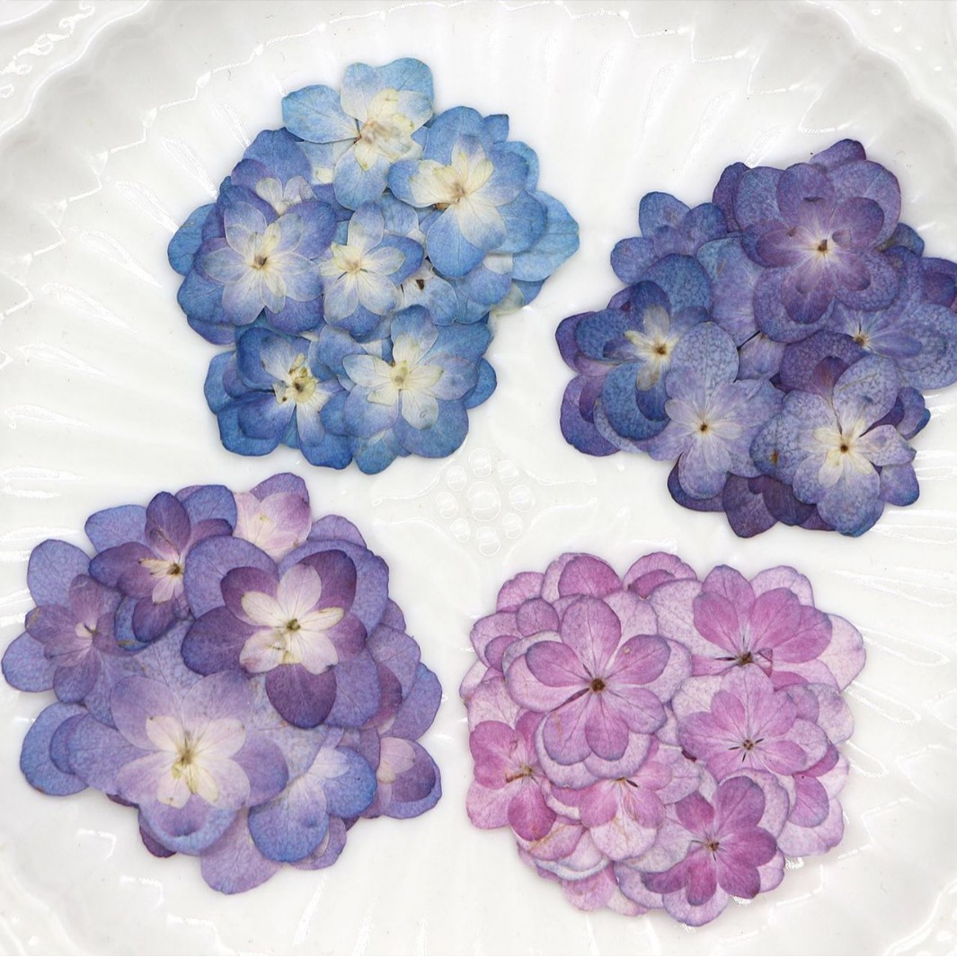 60Pcs Mini Double-Flowered Hyd - Dried Flower Bookmark のレビューと価格
